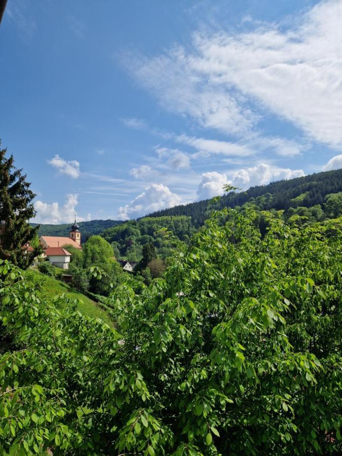 Ferienhaus Heinz Heiligkreuzsteinach Exterior foto